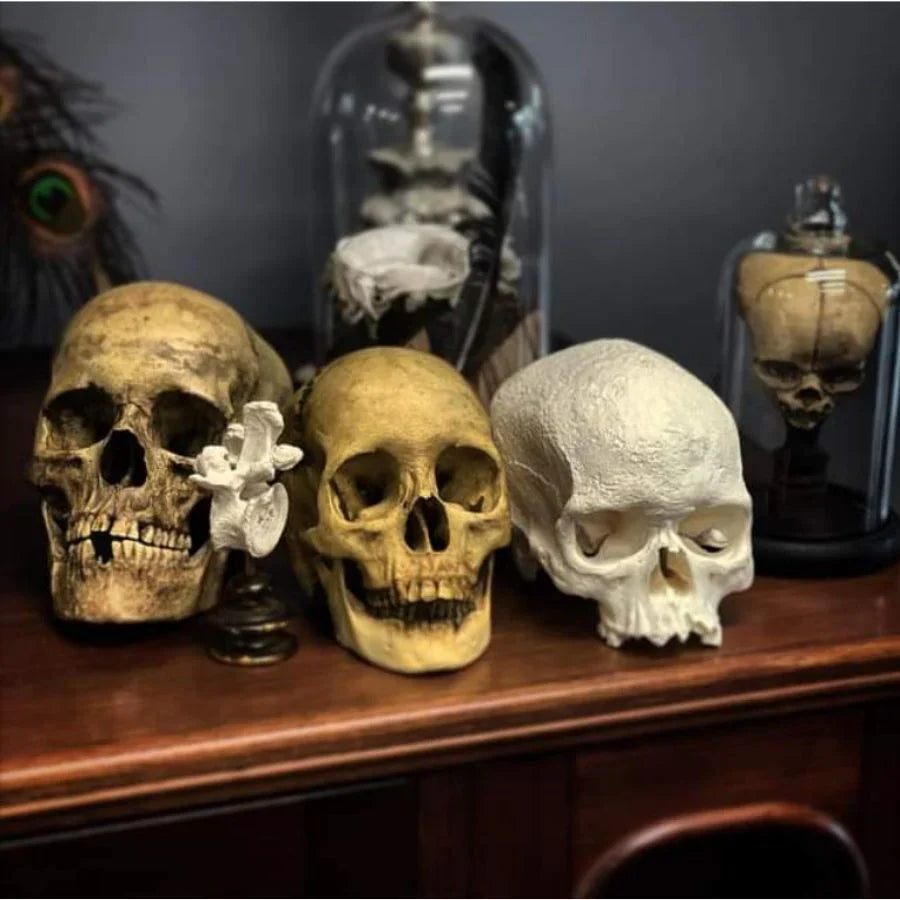 Décorations Tête de Mort collection  | VALDIS™